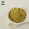 98% Massenrutin Sophora japonica 153-18-4 Medizin-Grad